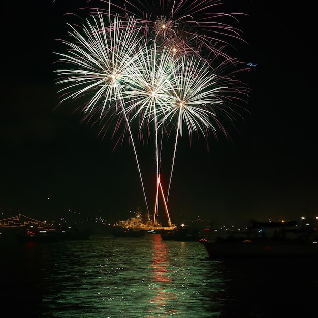 Red colorful holiday fireworks on the black sky.