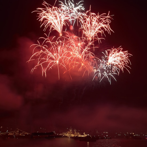 Red colorful holiday fireworks on the black sky