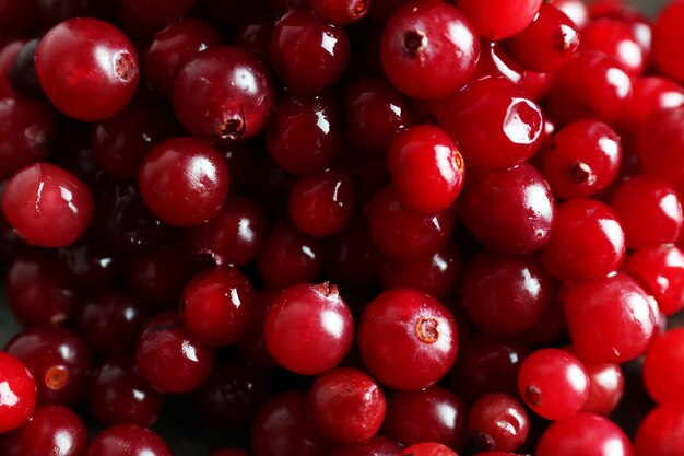 Red cranberries closeup