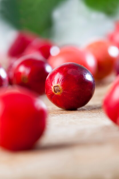 Red cranberries