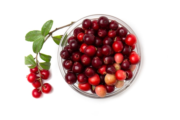 Photo red cranberry berry with green leaves in a transparent bowl isolated on a white background.