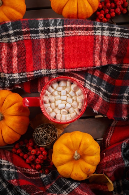 マシュマロ、装飾的なカボチャとココアの赤いカップ。秋の気分、温かい飲み物。居心地の良い雰囲気