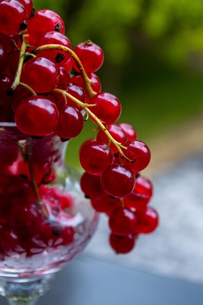 red currant berries in a crystal bowl on a natural background