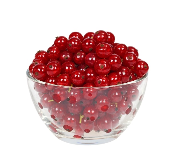 Red currant berries in a cup of glass on a white background