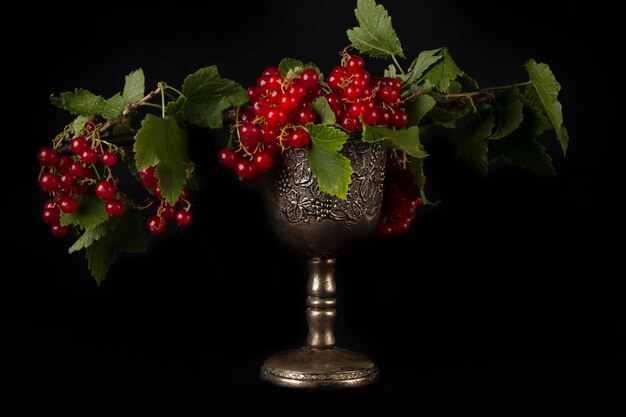 Red currant berries in a luxurious vintage glass on a dark backgroundStill life with berries