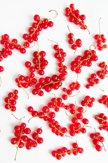 Red currant berries pattern.