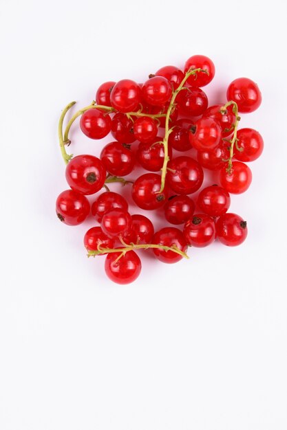 Red currant berries on a white background