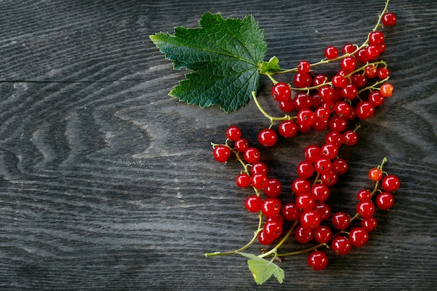 Red currant berries