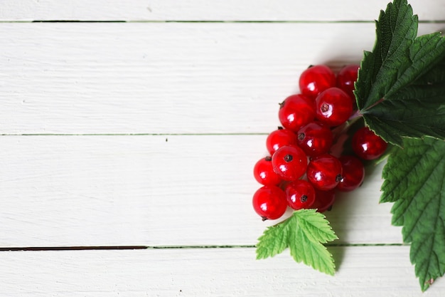 Red currant berry background