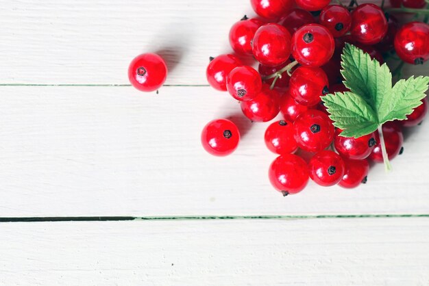 Red currant berry background