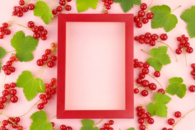 Red Currant berry. Berry frame. 