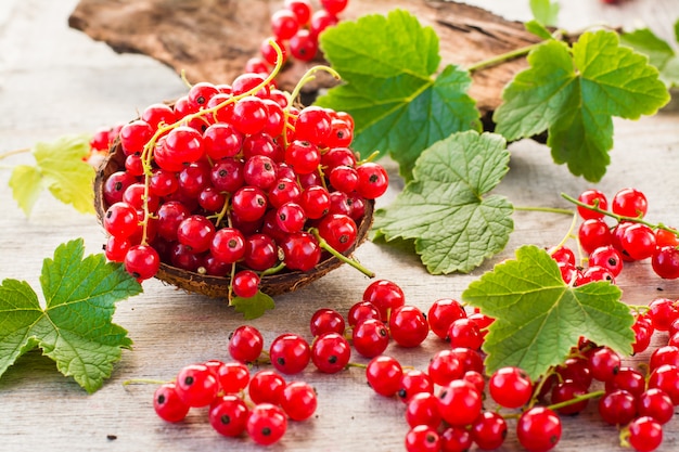 Ribes rosso in una ciotola, bacche e foglie sparse su un legno malandato