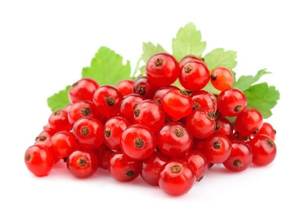 Red Currant close up isolated on white