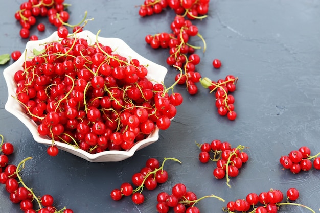 Red currant is arbitrarily located in a white plate 