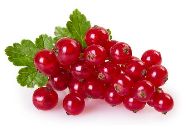 Red currant isolated on white background