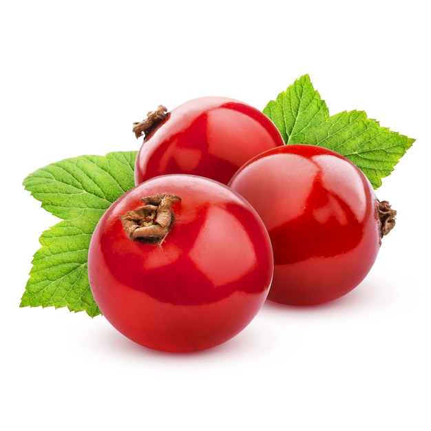 Red currant isolated on white with clipping path