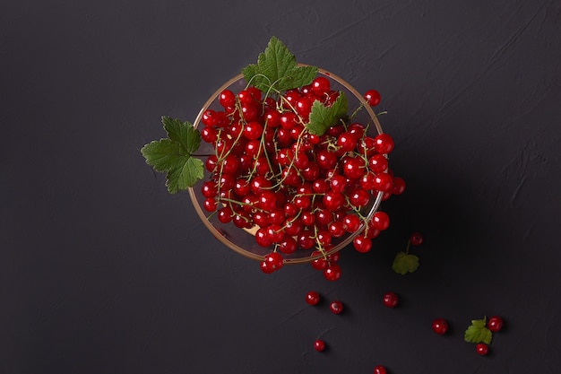 Red currant in a vase on a dark background