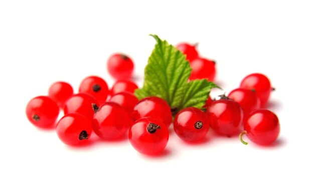 Red currants close up isolated on white