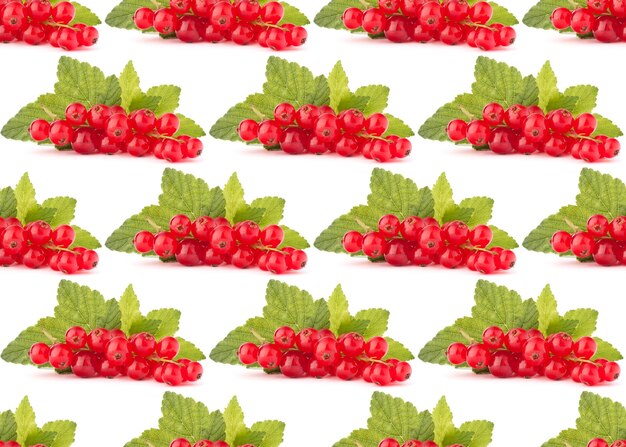 Red currants isolated on white background cutoutCreative layout fruit seamless pattern