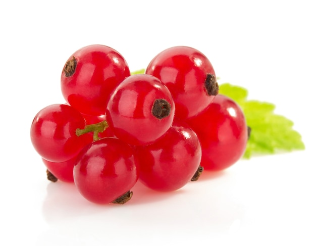 Red currants isolated on white surface