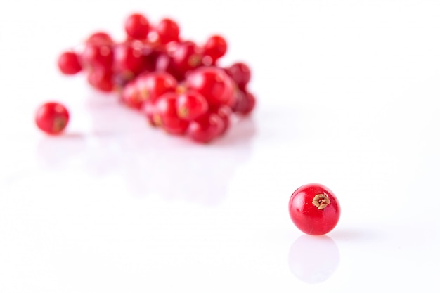 Red currants presented on white background