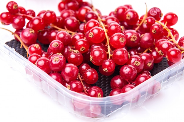 Red currants presented on white background