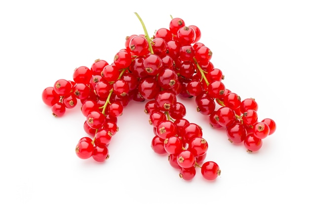 Red currants still life isolated on white background.