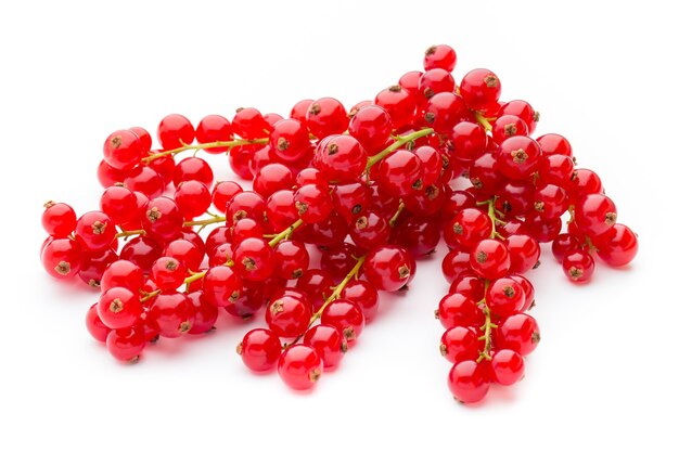 Red currants still life isolated on white background.