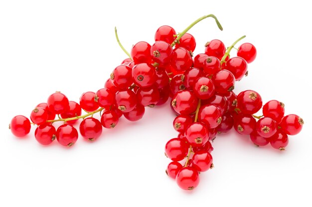 Red currants still life isolated.