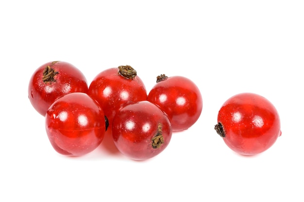 Red currants on white background