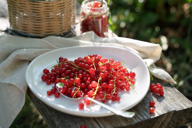 Red currants on a white plate on a wooden Board in the garden in the sun. 