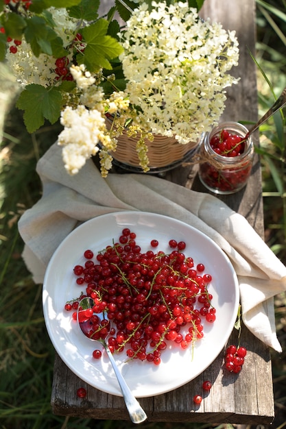 Red currants on a white plate on a wooden Board in the garden in the sun.
