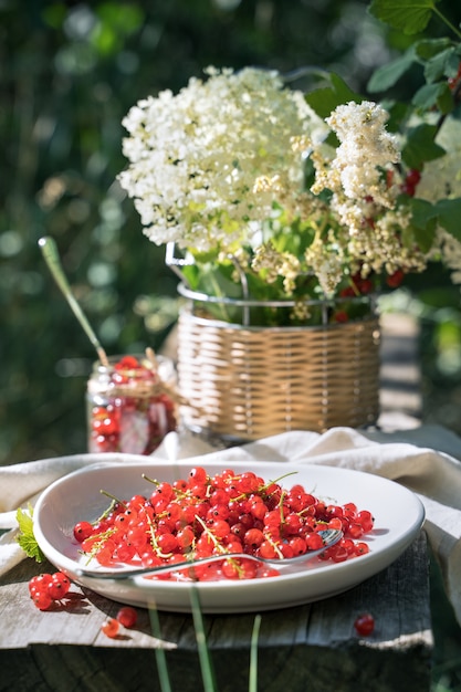 Red currants on a white plate on a wooden Board in the garden in the sun.