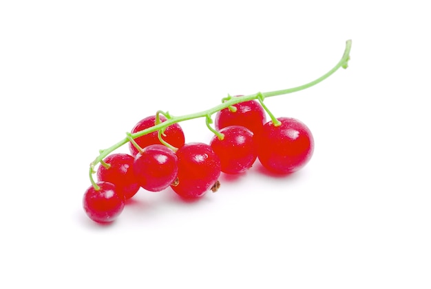 Red currants