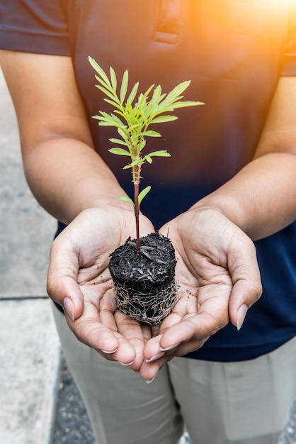 red de aarde red het leven door de boom te planten, milieuconcept