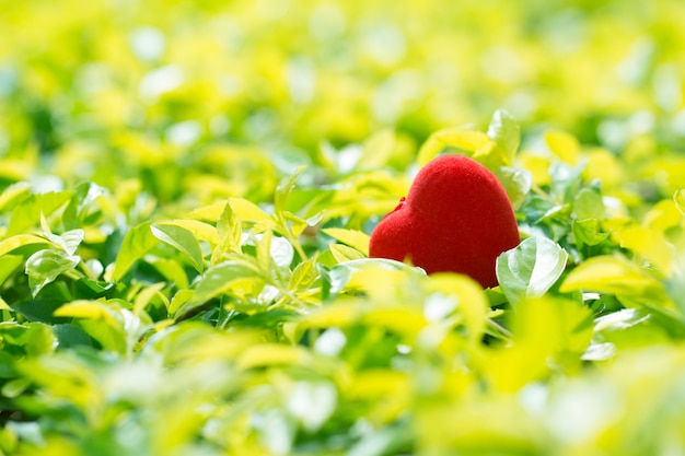 Red decorate heart on a vintage green natural background