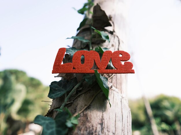 Red decorative love lettering on a tree