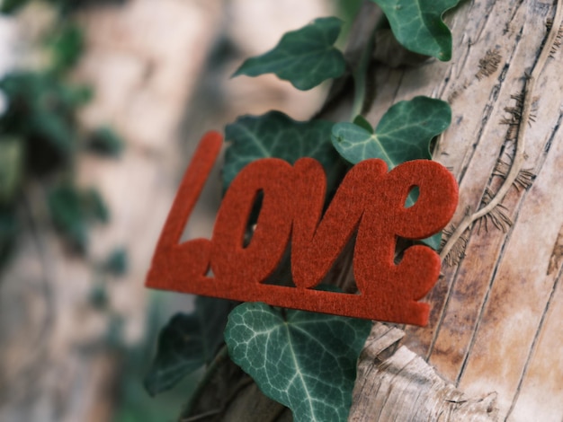 Red decorative love lettering on a tree