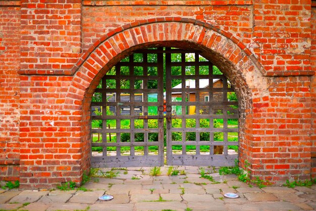 Photo red door on brick wall