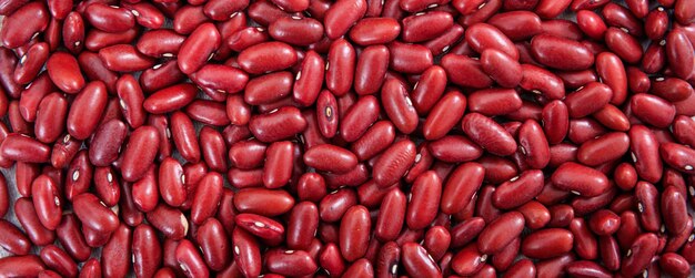 Red dry kidney beans uncooked full background banner top view