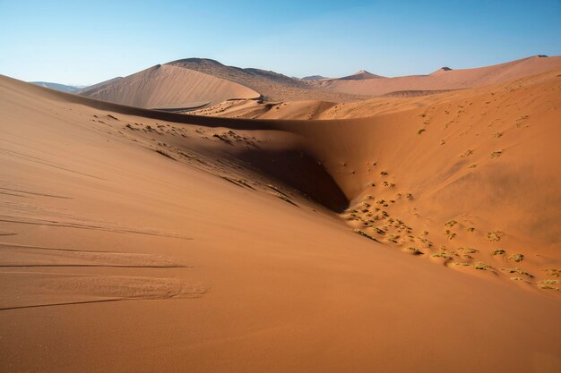 Foto dune rosse di sossusvlei