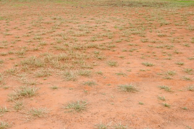 Foto terra rossa con erba verde