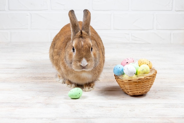 Red Easter Bunny with colorful eggs in a nest on a white background Holiday concept Place for an inscription