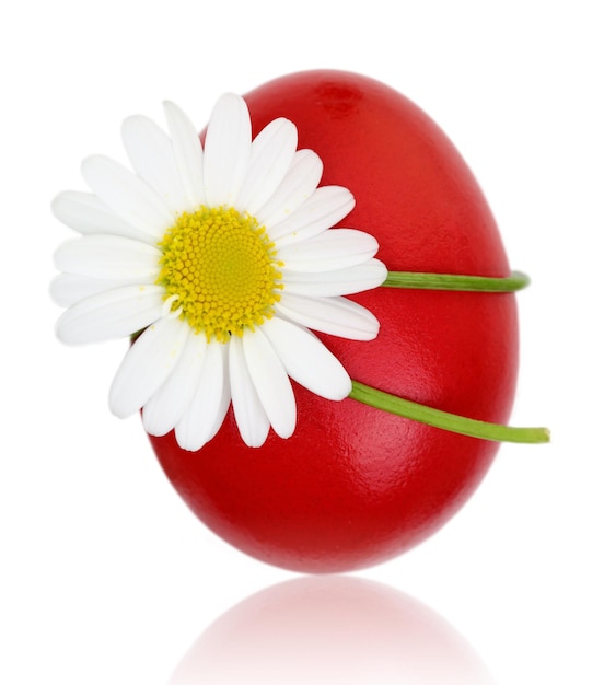 Red Easter egg with daisy flower