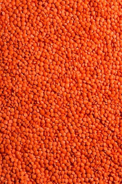 Red edible lentils for the whole frame