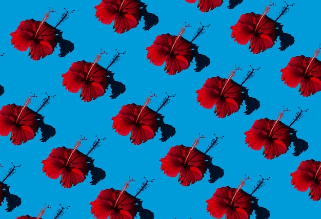 red exotic flowers on blue background