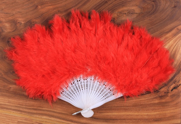 red fan with feathers on wooden background