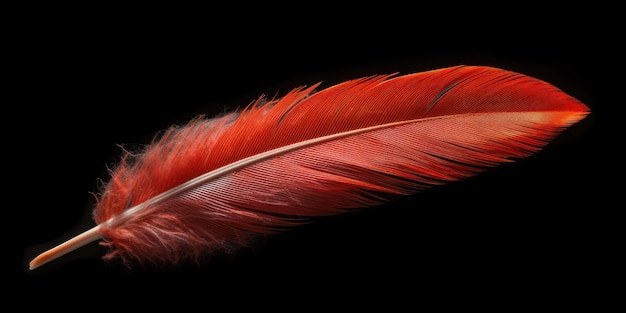 Photo red feather close up on black background high quality photo generative ai