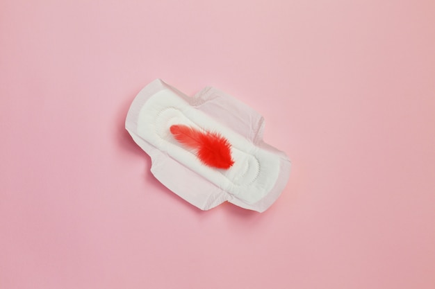 Photo red feather and daily, menstrual woman pad for hygiene or blood period