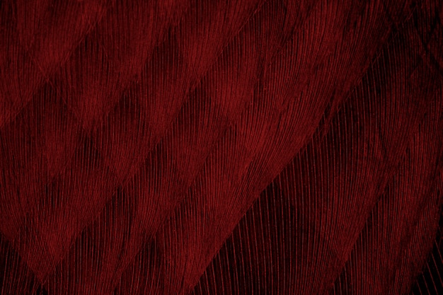 Red feather pattern texture background